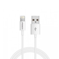 PISEN iPhone USB Cable