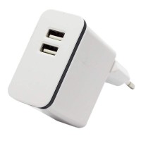 Mini 2 USB Charger